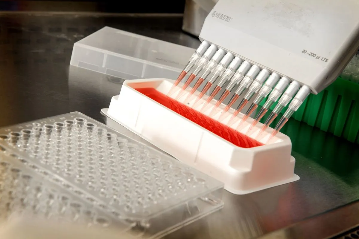 Multichannel pipette drawing red reagent next to a 96-well plate
